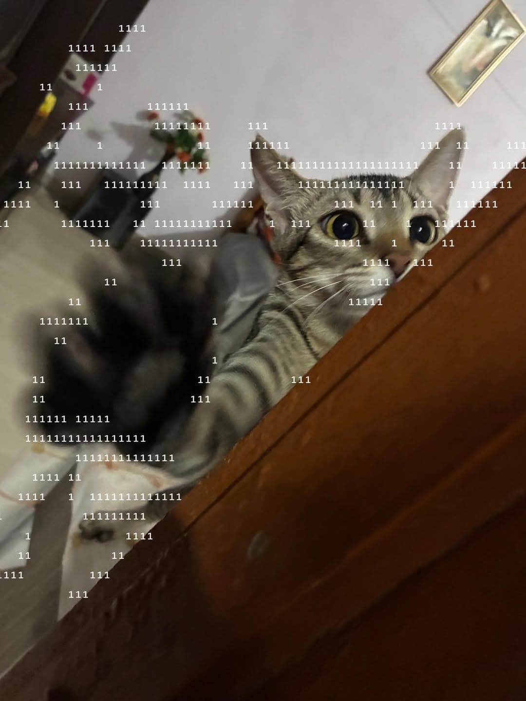 Cat peeking around a door, overlaid with ASCII characters